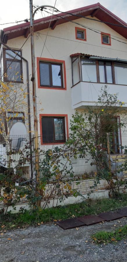 Casa Soarelui Apartment Rosu Exterior photo