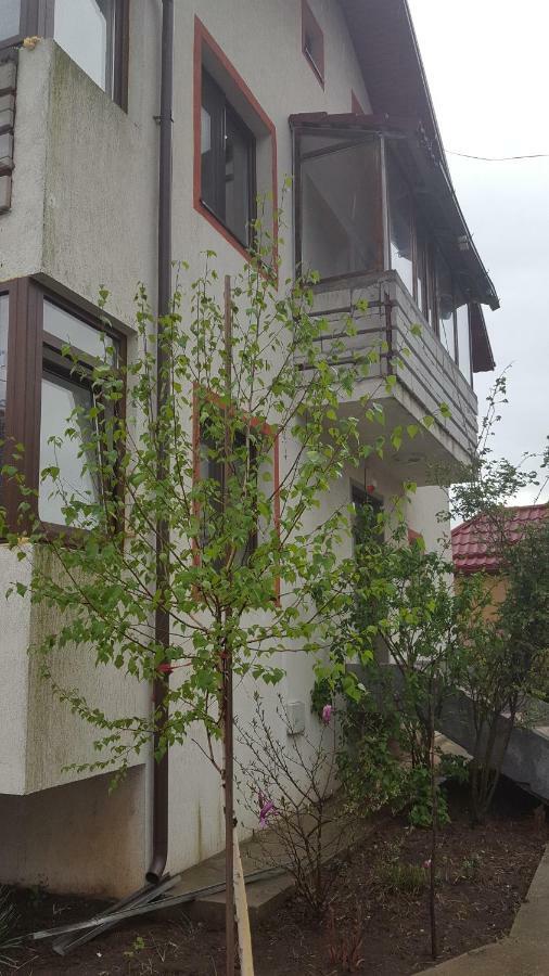 Casa Soarelui Apartment Rosu Exterior photo